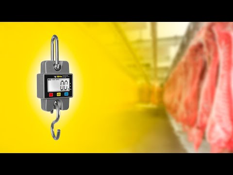 (BAC-300) BASCULA COLGANTE 300KG