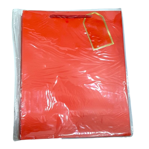 BOLSA REGALO REFORZADA MEDIANA C/12 PZAS