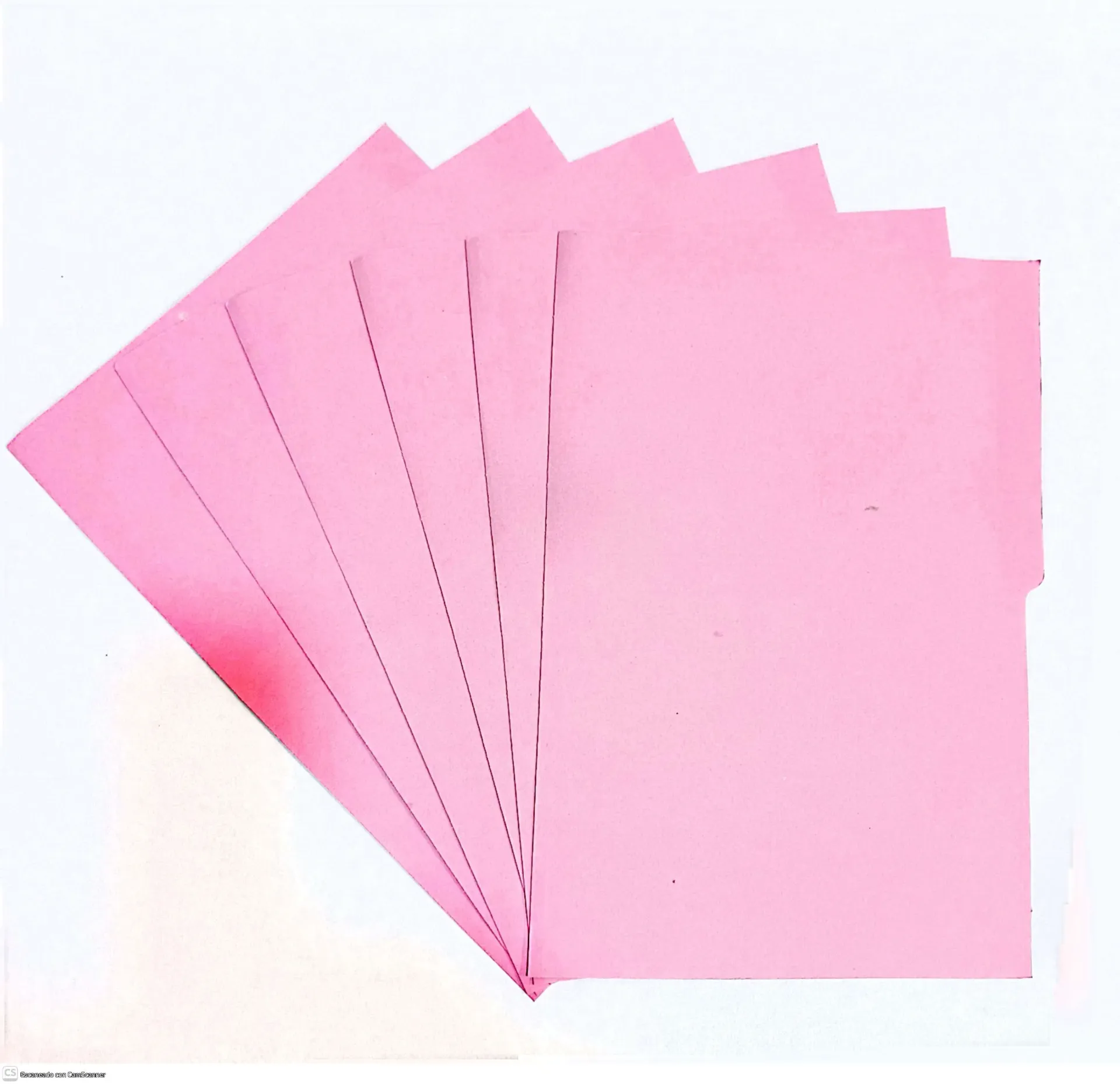 FOLDER OFICIO ROSA