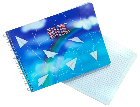 [LIBRETA ITALIANA (PA)] LIBRETA ITALIANA C/100 HOJAS