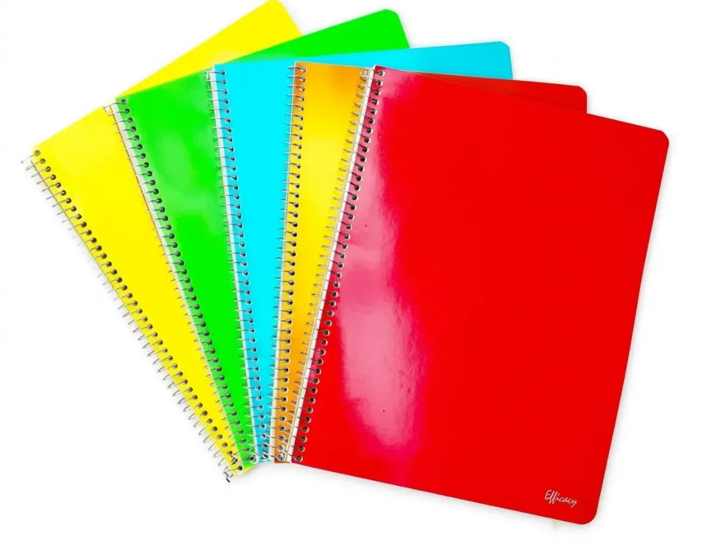 [LIBRETAPROFES. (PA)] LIBRETA PROF. EFICAZ/ESTRELLA C/100 HOJAS
