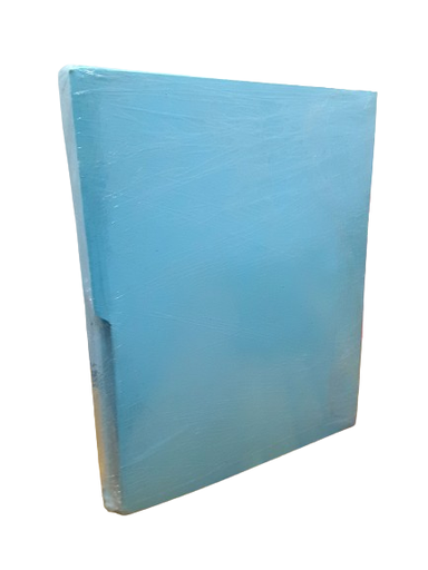 [790209512205 (J)] FOLDER CARTA AZUL