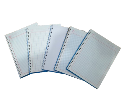 [LIBRETAPROFES. (PA)] LIBRETA PROFESIONAL 100 HOJAS 